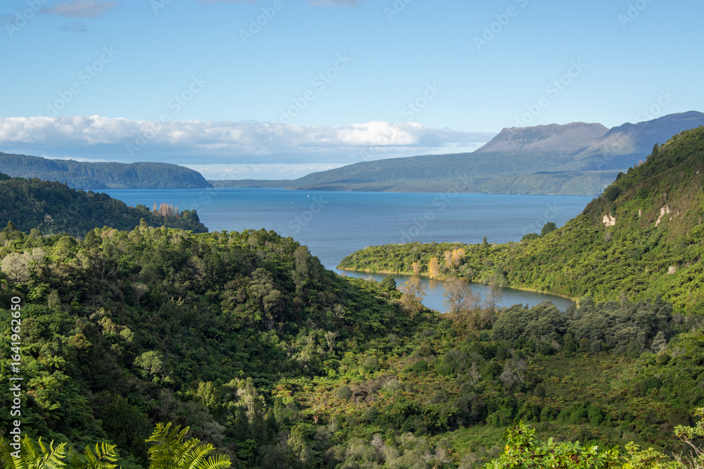 Fototapeta premium Lush Green Landscape with Serene Lake and Mountains