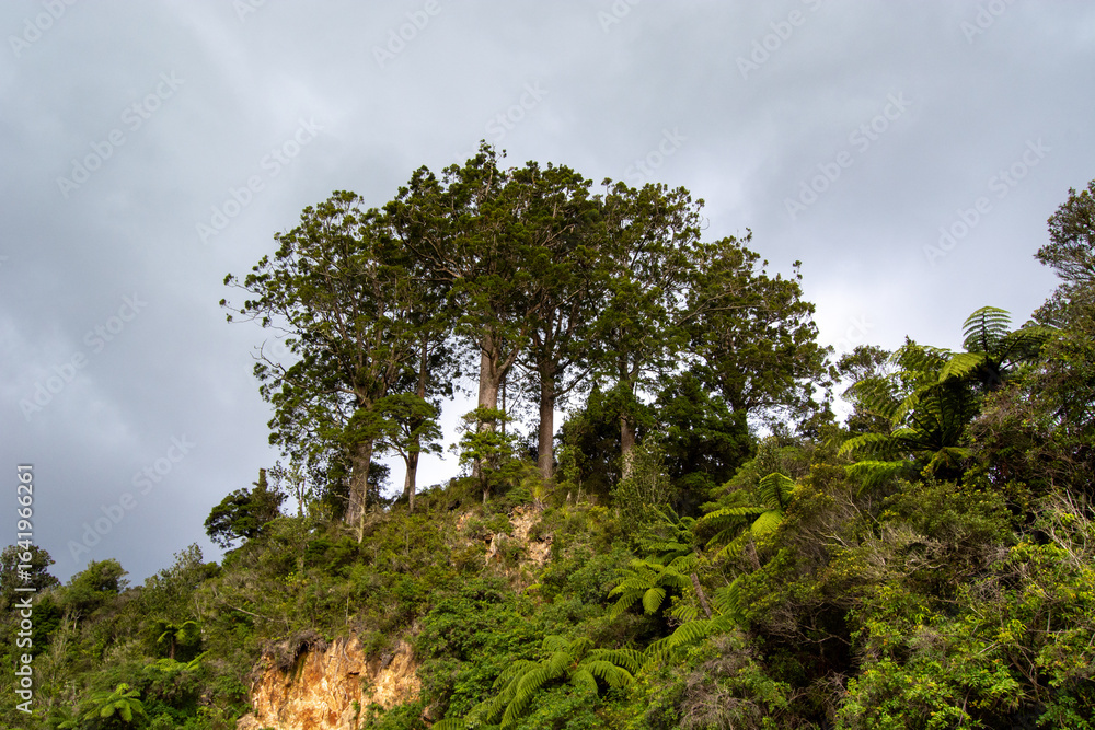 Fototapeta premium Lush Trees on Rocky Hill Under Cloudy Sky