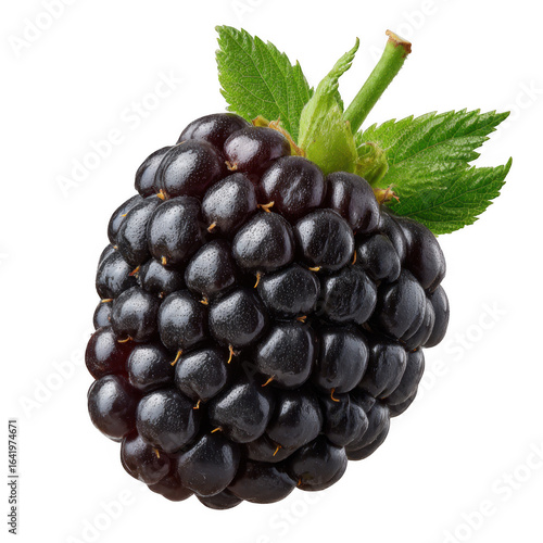 A ripe blackberry with green leaves isolated on transparent background