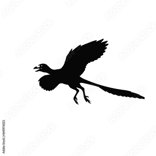 Silhouette of archaeopteryx flying with open beak and long tail feathers in black and white color scheme on transparent background