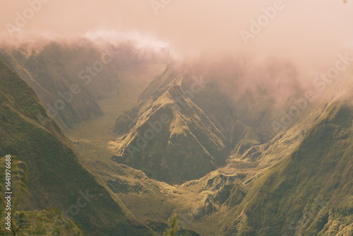 misty morning in the mountains, riviere des remparts, Reunion Island