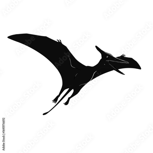 Silhouette of a pterodactyl flying with its wings spread wide against a plain white background space on transparent background