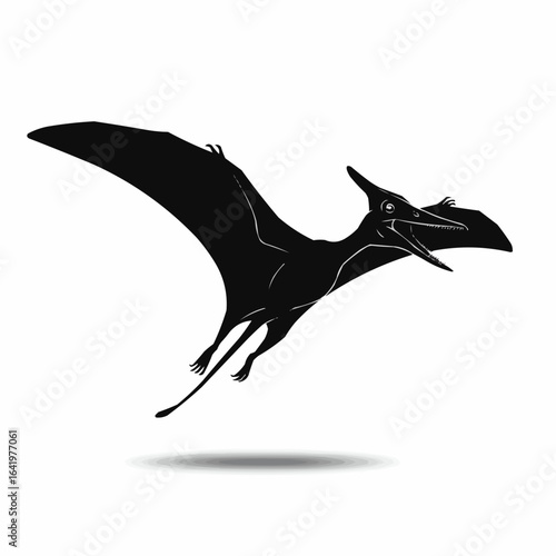 Silhouette of a flying pterodactyl with open beak and long tail on a white background image view on transparent background