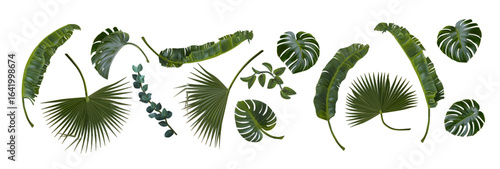 Tropical plant. 3D leaf. Realistic monstera, palm, exotic banana foliage. Jungle green nature elements. 3D branch garden. Hawaiian summer forest decor. Spa vector frame. Illustration botanical design