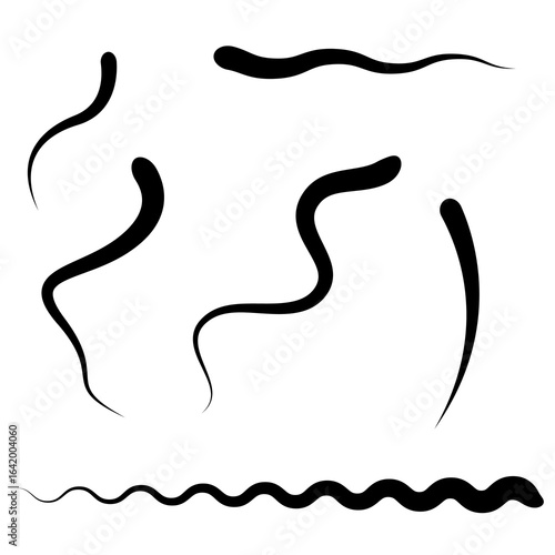 Worms and snakes, spermatozoa, whatever you call them. And just wavy lines. Flat vector illustration isolated on white background.
