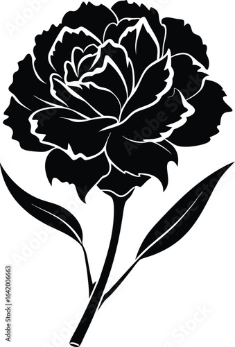 Minimalist carnation silhouette in black and white
