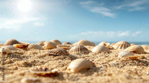 Wallpaper Mural Seashells scattered on sandy shore under bright sun, creating serene beach atmosphere. soft blue sky enhances tranquil scene, inviting relaxation and peace Torontodigital.ca