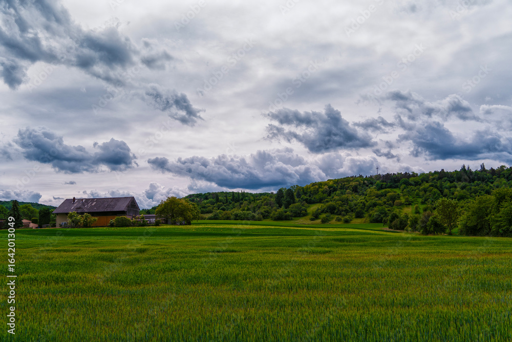 Obraz premium Beautiful cozy farm