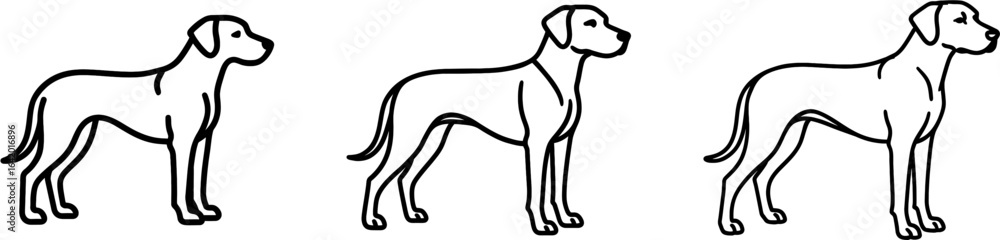 Obraz premium Rhodesian ridgeback dog full body standing side view outline vect