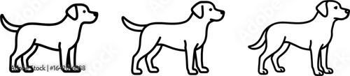 Labrador retriever dog full body side view outline vector