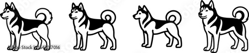 Siberian husky dog full body standing side view outline vector