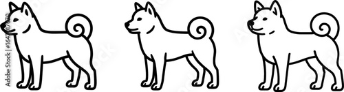 Shiba inu dog full body standing side view outline vector