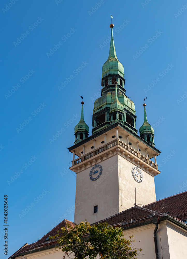 Obraz premium Brno Old Town Hall