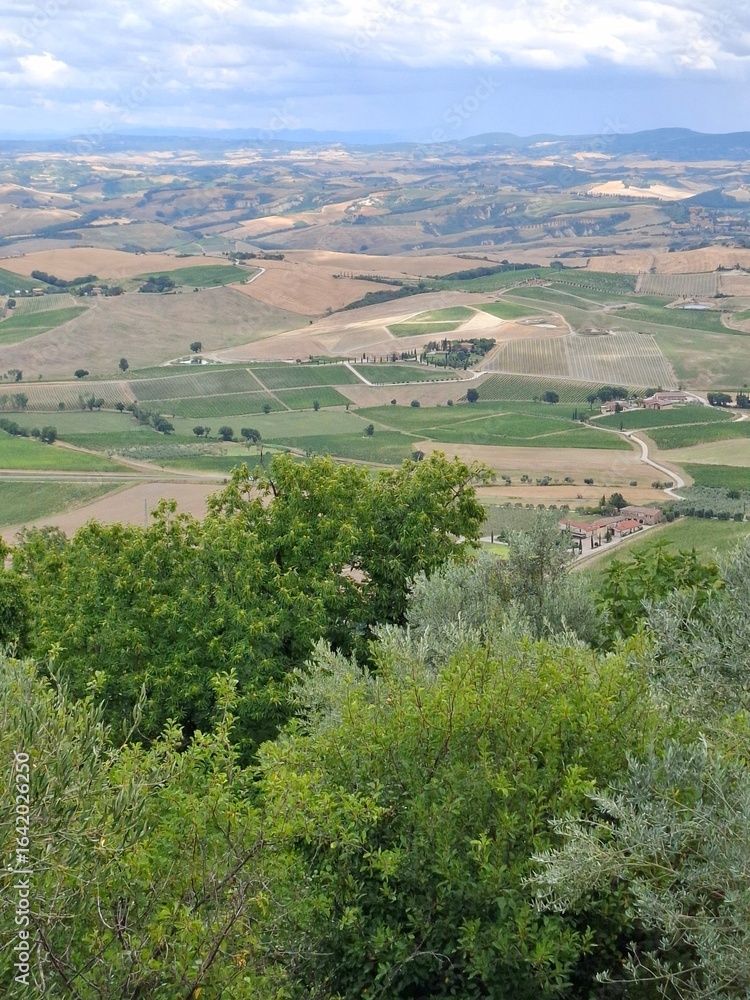 Fototapeta premium aerial view of countryside in val d'orcia, tuscany