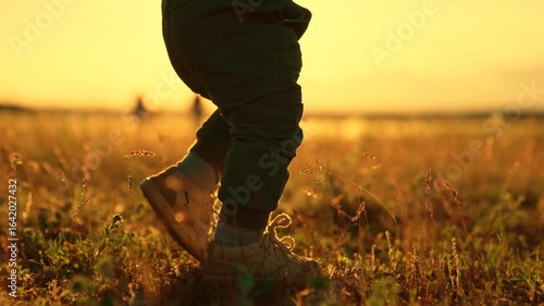 Baby feet stepping on grass in sunset park. Cute baby walking with mom on lawn in sun rays. Baby learning to walk with dad holding boy hand. Mom supporting baby taking first steps in park holding hand