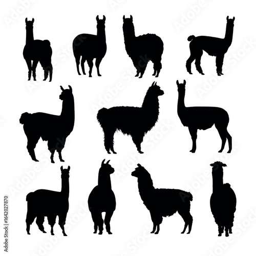 alpaca silhouette set, Black & White silhouette set 