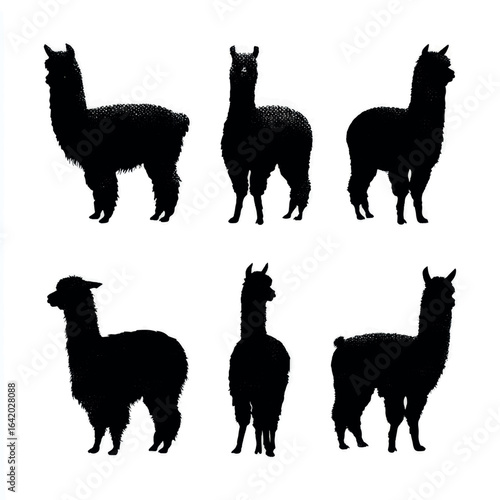 alpaca silhouette set, Black & White silhouette set 
