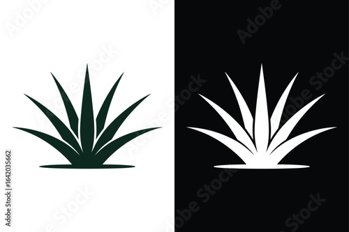 Tequila icon vector on White Background ,Vector Art Illustration on white background.