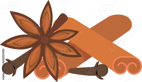 Winter spice for mulled wine or gingerbread. Cartoon flat vector isolated on white background.