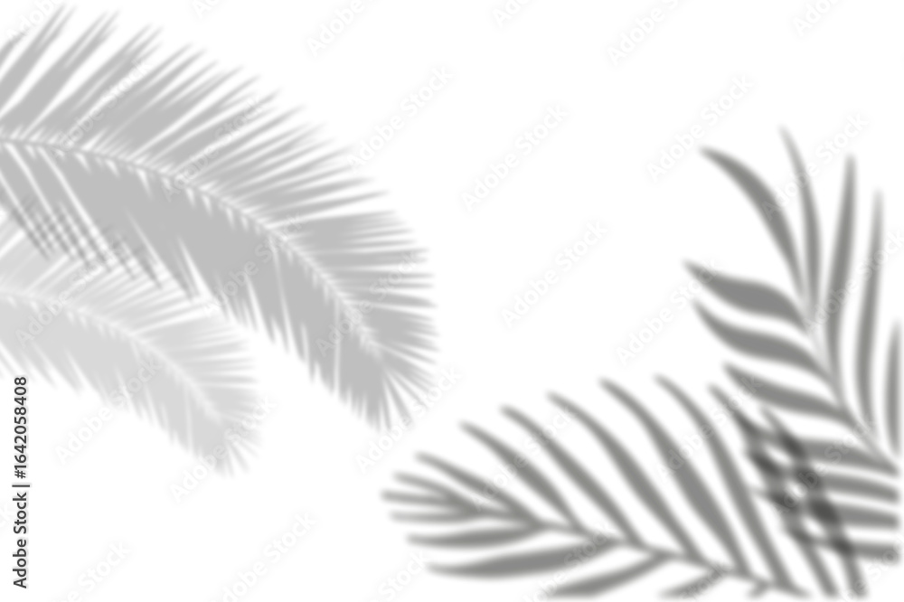 Dark Tropical Leaf Shadow, Minimalist Black Background Dark Tropical Leaf Shadow, Minimalist Black Background