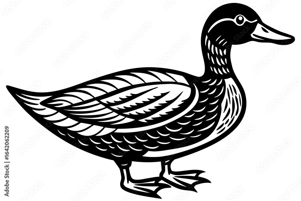 Obraz premium A colorful illustration of a domestic duck with brown feathers and a yellow beak, isolated on a white background