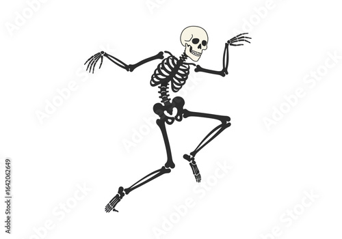 Cartoon Skeleton Running with Arms Outstretched on White Background