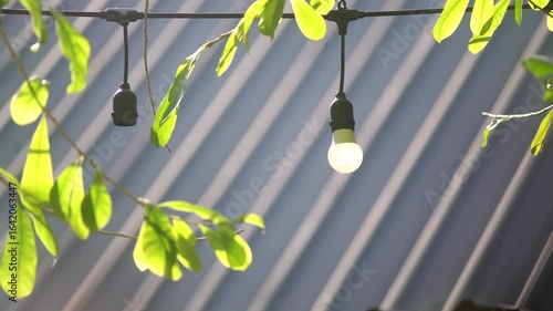 Decorative Outdoor String Light Setup