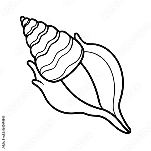 conch shell outline vector graphic on white background 