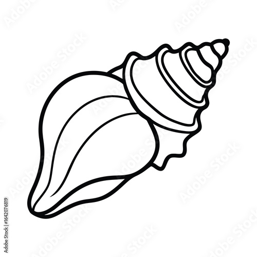 conch shell outline vector graphic on white background 