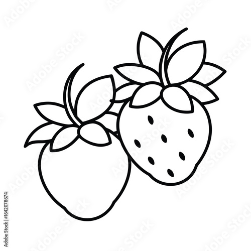 fresh berry fruit outline illustration on white background