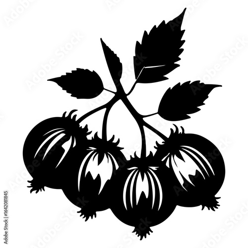Black silhouette of rowan berries with leaves on white background