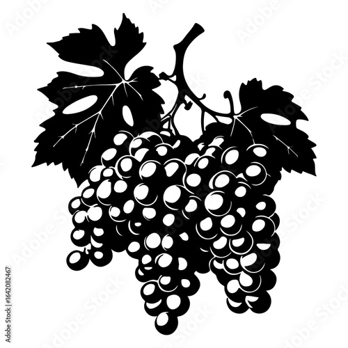 Black and white illustration of a cluster of grapes with leaves attached