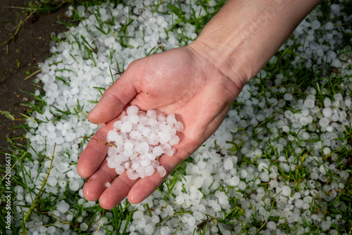Hand Holding Freshly Fallen Hailstones on Grass