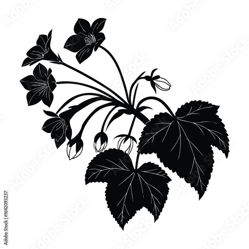 Tableau sur toile Black silhouette of begonia flowers and leaves on white background vector