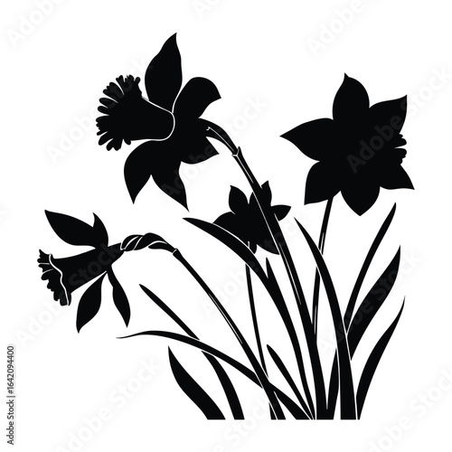 Black silhouette of three daffodils with leaves on white background narcissus flower