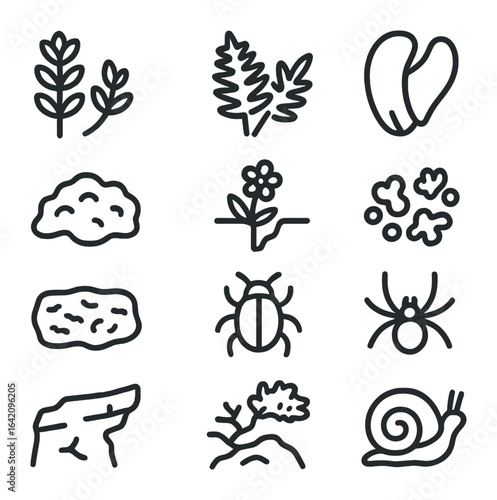Rocky Slope Icons. Outline icon set of rocky slope ecosystems: sedum plant, rock fern, goat hoof, moss mat,