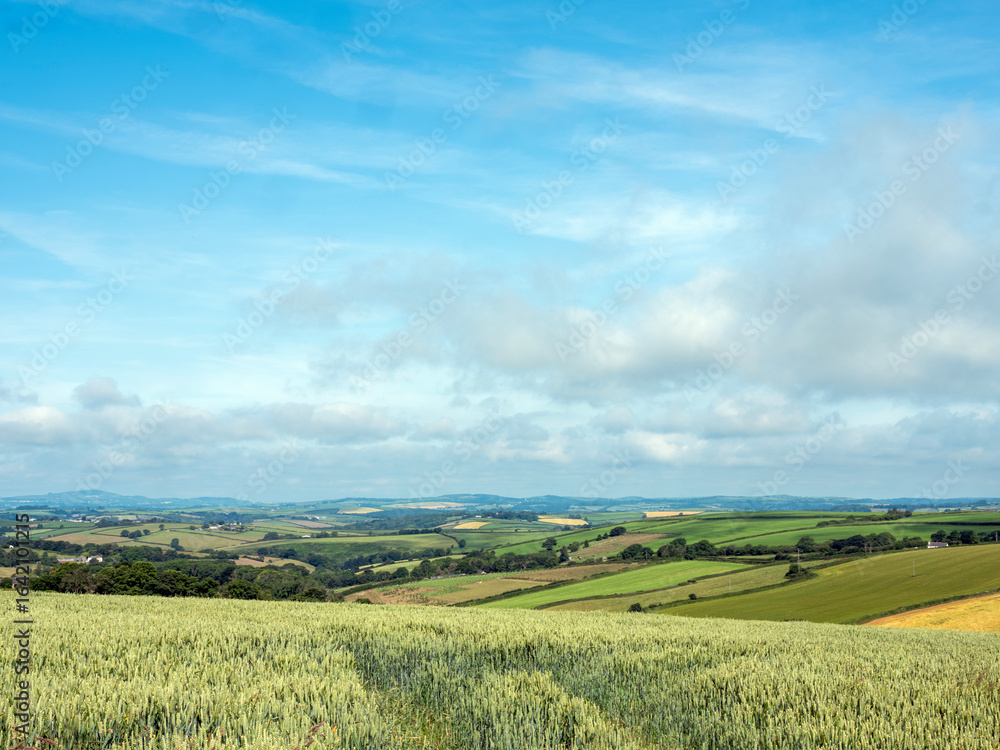 Obraz premium fields and meadows in south cornwall under blue sky