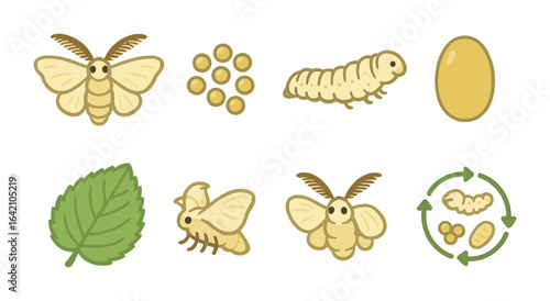 Silk Moth Life Cycle. Flat vector mini-illustrations silk moth life cycle in colors children's illustrations: