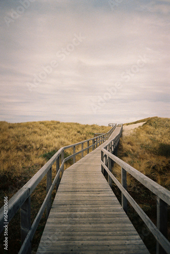 Wooden boardwalk leading through dunes