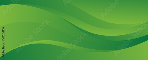 Abstract green curve background. Can be used covers, banners, wallpapers, flyers, brochures, books, print media, cards, web backgrounds. vector