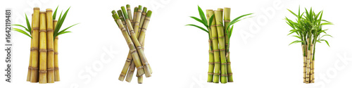 Set of sugarcane isolated on transparent background