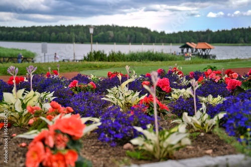 A garden with a beautiful lake in the background.
