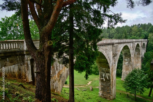An old high bridge between forests.