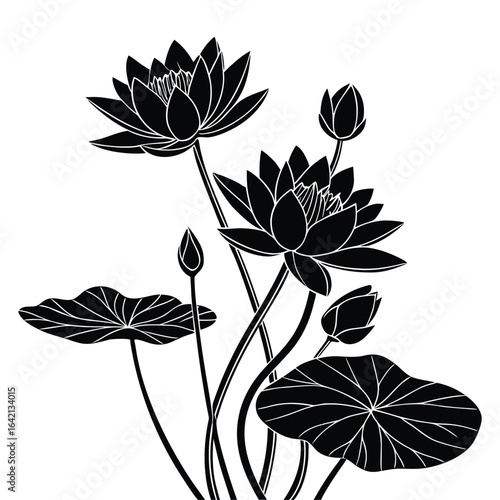 Black Silhouette Water Lily Flowers and Leaves on White Background lotus floral