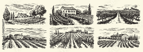 Vintage Vineyard or Farm Landscape Engraving Illustration with Countryside Scenery and Wine Vines set or collection set