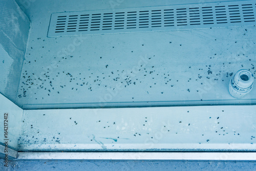 Fotografie White window sill with dead insects and ventilation grille nearby