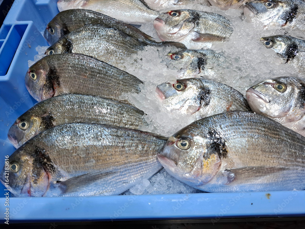 Obraz premium Fresh dorado on ice displayed at a supermarket fish department during a busy shopping day