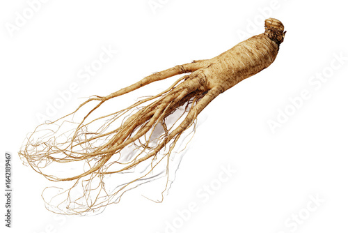 Obraz na płótnie Fresh Ginseng Root isolated on white transparent background