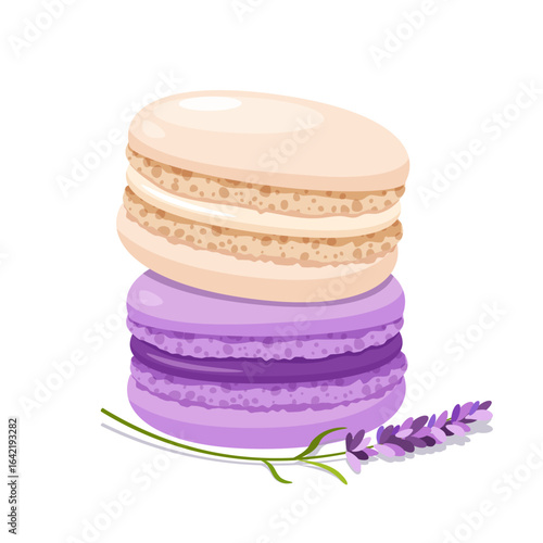 French macarons dessert with lavender and vanilla flavor and lavender branch isolated on white background.	