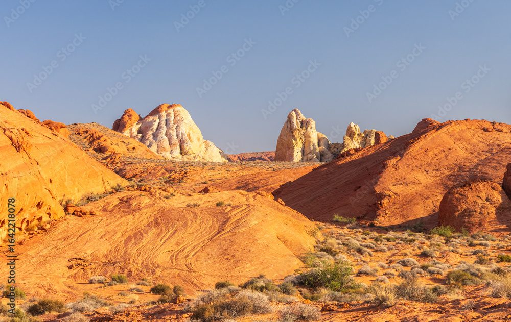 Fototapeta premium Dramatic white Silica Dome sandstone formations in Valley of Fire state park Nevada